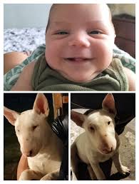 My youngest daughter and her Ringo 4 months old