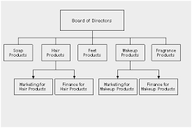 41 Valid What Is The Organizational Chart In Business