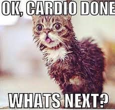 Fitness Humor 2 Ok Cardio Done What S Next Workout Memes Funny Workout Memes Gym Humour