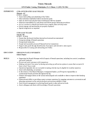lead teller resume samples velvet jobs
