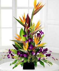 Adelaparvu Com Despre Strelitzia Reginae La Ghiveci Si In Gradina Text Carli Large Flower Arrangements Fresh Flowers Arrangements Tropical Floral Arrangements