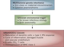 In general, young children require higher doses (e.g., 2 to 3 mcg/kg/dose) than older children and adolescents. Clinical Features Pathogenesis And Treatment Of Juvenile And Adult Dermatomyositis Nature Reviews Rheumatology
