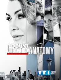 Greys anatomy saison 17 episode 1 vostfr. Grey S Anatomy En Streaming Sur Tf1 Series Films Molotov Tv