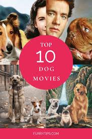 Top 10 Dog Movies Dog Movies Best Dogs For Families Fox Terrier Puppy