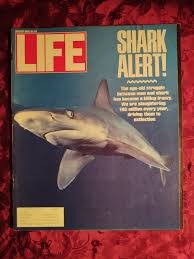 Image result for Sophia White 1989 Colt