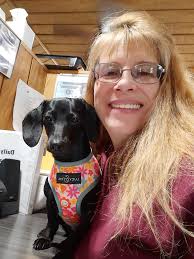 Cubicle dachshund in the workplace