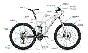 Sory ek pada yang tertunggu² jawapan huhuhu. Neo Cycle Enterprise Bicycle Online Store