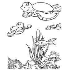 Simply download, print and enjoy! Top 10 Free Printable Cute Sea Turtle Coloring Pages Online