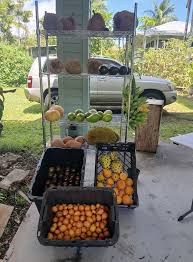 Hawaii Tropical Fruit Growers