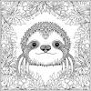 Two toed sloth coloring sheet two toed tree page. 1