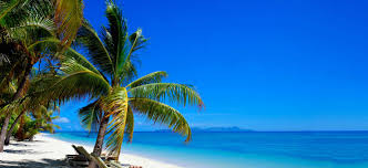 フィジー 新婚 旅行