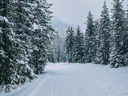 Pin By Markruse17 On Winter Wallpaper Winter Wallpaper Hd Winter Wallpaper Winter Wallpaper Desktop