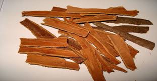 We did not find results for: Medicinal Uses Of Dalchini Cinnamon