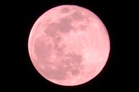 Google has many special features to help you find exactly what you're looking for. 4æœˆã®æº€æœˆã¯è‹±èªžã§ Pink Moon ã»ã¼ã‚¼ãƒ­ã‹ã‚‰å§‹ã‚ã‚‹diyæ—¥è¨˜