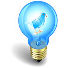 Date filed 07 december 2021; Twitter Coffee Icon Twitter Vector Icons Softicons Com