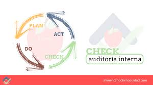 auditorias internas claves de exito alimentando la inocuidad auditorias internas claves de exito