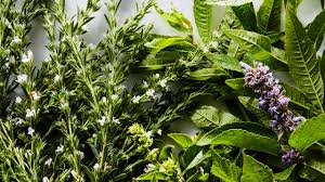 It makes an attractive border plant with small purple and white flowers. 13 Fresh Herbs And How To Use Them Epicurious