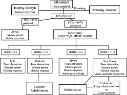 Image result for COPD Management