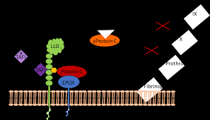 Installing and maintaining smoke and carbon monoxide (co) detectors can save your life. Http Mediatum Ub Tum De Doc 1507557 1507557 Pdf
