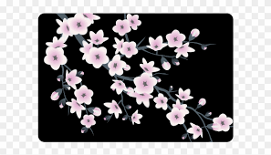 In many parts of the country, blossoming cherry blossom trees are one of the earliest signs of spring. Cherry Blossoms Sakura Floral Pink Black Doormat Black Bags With Sakura Blossoms Clipart 2404887 Pikpng