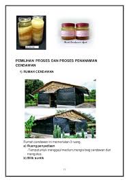 Keindahan cendawan ( 20 gambar ). Perkongsian Pelbagai Contoh Pelan Rumah Cendawan Deko Rumah