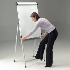 Premium Flip Chart Easel Discount Displays