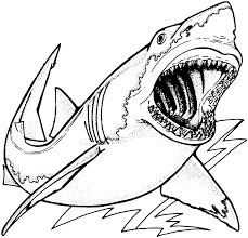 Maybe you would like to learn more about one of these? Free Printable Shark Coloring Pages Coloring Home