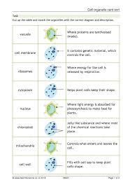 Complete the following table by writing the name of the cell part or organelle in the right hand column that matches the structure/function in the left hand column. Cell Organelle Card Sort