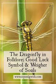 In certain cultures, dragonflies are associated with good luck. The Dragonfly In Folklore Good Luck Symbol Weigher Of Souls