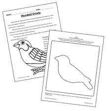 Click on the image to view the pdf. Birds In Nevada Hand Out And Coloring Pages By Elementary Arts Tpt
