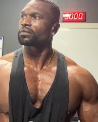 Can programming principles from big 3 templates work for dips and pull-ups?