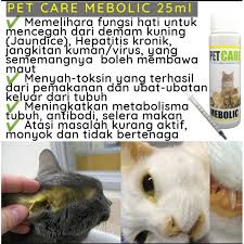 Buat ubat batuk dan selsema kucing cara yang mudah description : Cara Merawat Kucing Demam Kuning