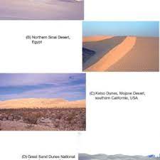 Weathering produces landforms where rocks and sediments are decomposed and disintegrated. Pdf Eolian Sediments And Processes