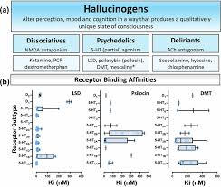 Image result for Hallucinogen