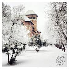Vezi articolele ascoiate cu muzeul taranului roman restaurant pe ghidul turistic al transfăgărășanului! Pin By Tutaflorian On Romania Bucharest Romania Photo