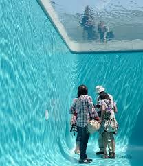 Art Installation By Leandro Erlich Features What Appears To Be A Real Swimming Pool With People Walking Beneath The Sur Pool Swimming Pools Installation Art