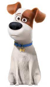 The Secret Life Of Pets Max Transparent Png Image Pet Max Cute Cartoon Wallpapers Pets Movie