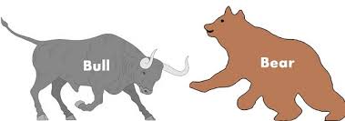 difference between bull market and bear market with