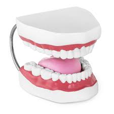 Image result for ochrana chrupu