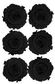 Our for example, three types of flowers that come in a very dark/black color include: Cheap Real Black Roses Sale Find Real Black Roses Sale Deals On Line At Alibaba Com