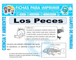 Fichas lectoescritura generador de fichas secuencias temporales lectoescritura. Fichas Para Ninos De Cuarto De Primaria Habitos De Ninos