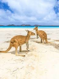 Tüm yanıtların güncellenmesini istiyorsanız kelime gezmece 2 taş evler 5 o zaman onu burada bulacaksınız. Kelime Gezmece Klasik Cevaplari