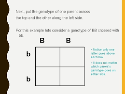 Though heredity had been observed for millennia, gregor mendel, moravian scientist and augustinian friar working in the 19th century in brno, was the first to study genetics scientifically. What Is A Punnett Square And Why Is It Useful In Genetics Genetic Inheritance Autosomal Dominant X Linked Recessive Mitochondrial Disease Stomp On Step1 What Is A Punnett Square And