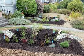 The purpose of this rain garden. Amazing Rain Garden Design Ideas Hgtv