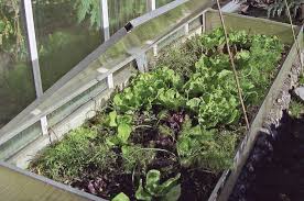 Chassis Jardins Cultiver Saint Isabelle