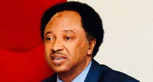 Majalisa Ta 10: APC Ba Ta Son Ta Ba Wa Inyamurai Jagoranci, Sanata Shehu  Sani
