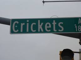 Crickets Remembered Picture Of Buddy Holly Statue And West Texas Walk Of Fame Lubbock Tripadvisor