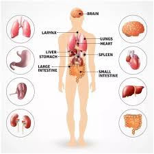 Pin On Health