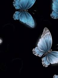 Butterflies Gif Butterflies Gifs Butterfly Gif Butterfly Pictures Beautiful Gif See more ideas about butterfly gif, butterfly, beautiful butterflies. butterflies gif butterflies gifs