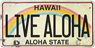 This site contains two of the most active volcanoes in the world, mauna loa (4,170 m high) and kilauea (1,250 m high), both of which tower over the pacific ocean. Amazon Com Hawaii License Plate